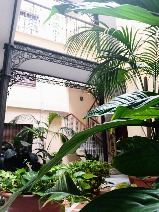 Botánic Suite Málaga Exterior foto